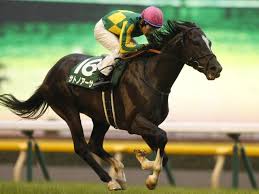 大和商事株式会社（だいわしょうじ、英名daiwa co.,ltd）は千葉県 習志野市 津田沼に本社を置く企業である。 パチンコ チェーン「ニュー後楽園」や飲食店などの経営を行っている。 V8zjou2gi2uzjm