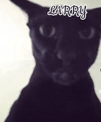 Image result for larry