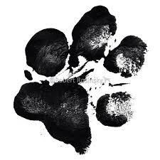 Black And White Boxer Dog Tattoo Ideas My Dogs Paw Print 3 Dog Paw Tattoo Dog Tattoos Paw Tattoo