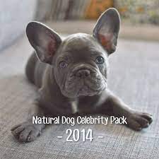 See more ideas about bulldog, french bulldog, bulldog puppies. Naturaldog Calendar 2014 Bulldog Puppies Bulldog Blue French Bulldog Puppies