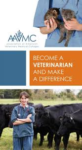 How much do veterinarians make? A Career In Veterinary Medicine Aavmc