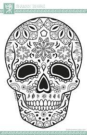 Download Pin On Color