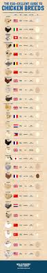 The Egg Cellent Guide To Chicken Breeds Visual Ly