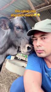 Jangan Lupa Pada 04-07-2024 Di Pantai Irama Bachok#kandangkuning #lemb...