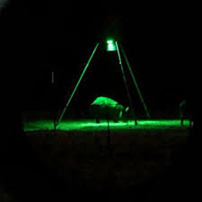 Kill Light Motion Activated Feeder Light Green