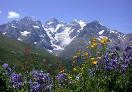 Jardin Botanique Alpin Du Col Du Lautaret Images Paysages Paysage Montagne Photo De Printemps