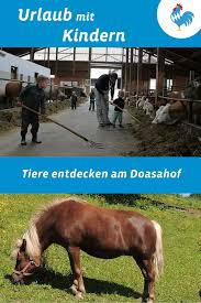 Bauernhofurlaub Am Doasahof In 2020 Bauernhofurlaub Urlaub Bauernhof Bayern