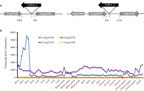 Thomas insel, who served as the director of the national institute of mental health (nimh) and as chair of the committee for more than a decade, announced his planned departure for google life sciences in at the end of october 2015. Molecular Identification Of A Root Apical Cell Specific And Stress Responsive Enhancer From An Arabidopsis Enhancer Trap Line Plant Methods Full Text