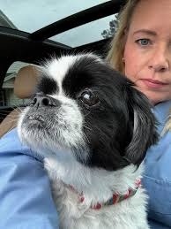 owner was located and picked up their dog***** This dog was found