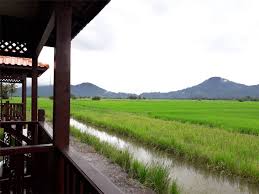 Dengan segenap tenaganya para petani menanam dan lukisan pemandangan sawah dan gunung yang begitu indah. 7 Aktiviti Di Teratak Toksu Hilang Stress Tengah Sawah Rm80 Je Destinasi Mstar