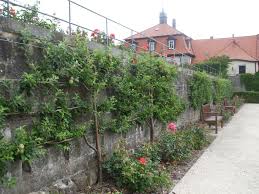 Wer Einen Nutzgarten Mochte Kann Die Rander Mit Spalierobst Bepflanzen Zb Die Gartenmauer Oder Gartenzaun Dort Wo Man Nix D Garten Garten Ideen Gartenmauer
