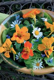 Un Jardin Pour Mettre Des Fleurs Dans Son Assiette Fleurs Jardins Fleur Jardin