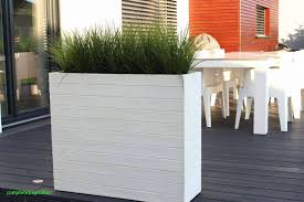 Design 40 Zum Wpc Terrassendielen Gunstig Check More At Https Www Estadoproperties Com Wpc Terrassendielen Gunstig