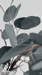  Kaespo Words Wallpaper Wallpaper Quotes Poetry Wallpaper