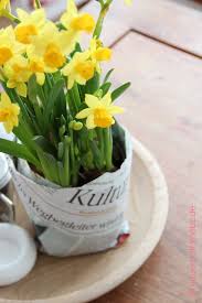 Kultur Pflanze Blumentopf Aus Papier Diy Blumentopf Pflanzen Blumen