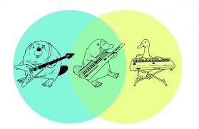 Do The Math Venn Diagram Platypus Diagram