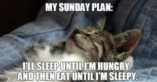 images?q=tbn:ANd9GcSJp5Xm5eocluE8yyukB8H