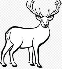 Gambar rusa hitam putih terbaru dari gambar coloring dapat anda gunakan untuk diwarnai oleh anak anak anda dirumah setelah pulang dari kebun binatang. Rusa Whitetailed Rusa Garis Seni Gambar Png