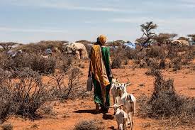 The New Humanitarian Drought In Africa 2017