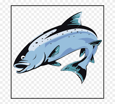 Grabbable 7 Of Jumping Salmon Fish Clipart 3981571 Pinclipart Sushi salmon rainbow trout food, jumping fish, gray fish illustration, marine mammal sardine smoked salmon fish products atlantic salmon, fish, animals, seafood png. jumping salmon fish clipart 3981571