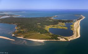 Contact — Chappaquiddick Island Association