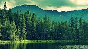 nature forest lake wallpapers hd desktop and mobile backgrounds nature forest lake wallpapers hd