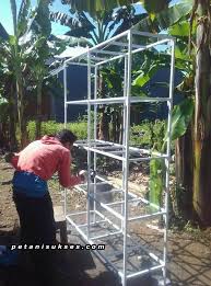 Semua itu bertujuan agar lovebird yang sensitive atau galak, kenyamanannya tidak akan terganggu. Cara Membuat Rak Kandang Ternak Lovebird Dari Besi Siku Peternakan Dan Perkebunan