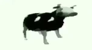 Tylko Jedno W Glowie Mam Polish Cow Know Your Meme #nietzsche #fryderyknietzsche #friedrichnietzsche #koksu5gram #memy pic.twitter.com/emb5ykhecb. tylko jedno w glowie mam polish cow