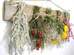 Maybe you would like to learn more about one of these? Dried Herbs Projects Diy Projects Craft Ideas How To S For Home Decor With Videos Dried Flower Arrangements Dried Flowers Drying Herbs