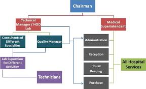 Organizational Chart Of A Hospital Laboratory Www