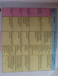 Prepare A Chart Showing Infectious Bacteria And Diseases