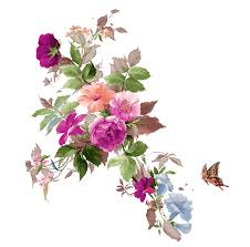 This clipart image is transparent backgroud and png format. Ø³ÙƒØ±Ø§Ø¨Ø² ÙˆØ±Ø¯ ÙˆØ±Ø¯ÙŠ