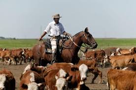It is a gated, covenant protected, subdivision covering more than 17,000 acres in costilla county. The Cattle Industry In Argentina Is Changing Rapidly Not For The Better D C Development Cooperation