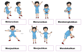 Contoh gerak otot depresi / filsafat doc document. Macam Macam Gerak Otot Pada Manusia Mikirbae Com