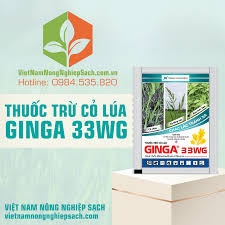 Ginga 33WG