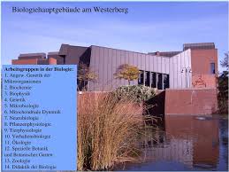 Osnabrück university of applied sciences (german: Experimentelles Lern Labor In Osnabruck Schulerlabor Des Fachbereichs Biologie Der Universitat Osnabruck Pdf Kostenfreier Download