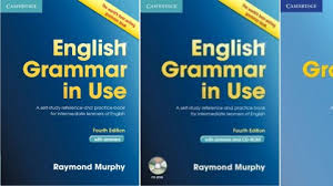 There are 200 exercises in this new edition. English Grammar In Use 4th Edition By Raymond Murphy On Eltbooks 20 Off