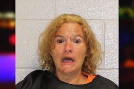 Amanda Mcelroy — Carroll County Jail Bookings