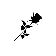 Noir Tattoo Semi Permanent Tattoos By Inkbox Black Flowers Tattoo Rose Tattoos For Men Black Rose Tattoo For Men