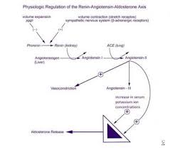 Image result for Hyperaldosteronism