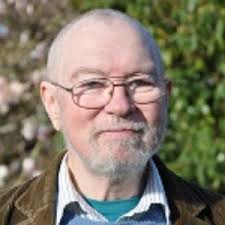 Waverley local election: The 7 candidates in Haslemere East