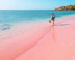 Immagine di Pink Beach Lombok