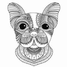 Disegni Da Colorare E Stampare Animali Disegni Facili Da Disegnare
