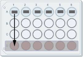 Detection of biomarkers for filoviral infection with a silicon photonic  resonator platform