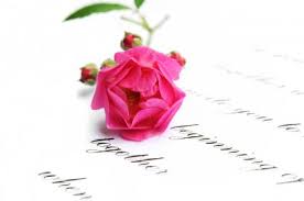 Image result for rose proposing