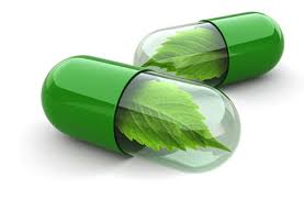 Resultado de imagen para principios quimicos de las plantas medicinales