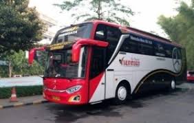 Usia 25 s/d 35 tahun pendidikan minimal smu atau sederajat memiliki (sim b) domisili di daerah tangerang jujur, ulet, pekerja keras dan bertanggung supir / driver pribadi & operasional. Mari Bermitra Atau Menjadi Supir Freelance Kami Berita Sembodo Rent A Car