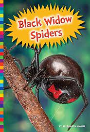 To reduce your risk of. Black Widow Spiders Poisonous Animals English Edition Ebook Raum Elizabeth Amazon De Kindle Shop