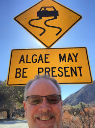 What prompts installation of slippery road signs?