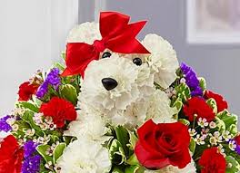 Keep your puppy active and out of trouble with stimulation and exercise. How To Make Flower Puppy Bouquet The Whoot